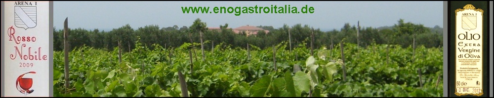 www.enogastroitalia.de